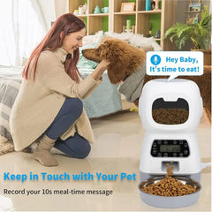 Automatic Dogs Cats Feeder